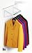 Over-the-Door Garment Rack (White) (18-3/4