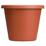 Akro Mils LIA16000E35 Classic Pot Clay 16 