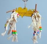 Zoo Max DUS255WXS I Love My Cockatiel 6 in X-Small Wood Bird Toy Assorted Colors