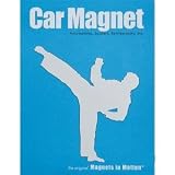 Martial Arts Magnet - Male Kicker Silver