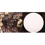 All Star Chocolate 10" Coffee Cake White Gift Tin by Boba Tea Direct