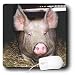 Farm Animals - Pig - Mouse Pads