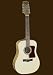 Sierra SS112 12 String Sophisticated Acoustic Guitar Set- Northstar Series