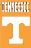 Tennessee College Applique Flag 44 x 28