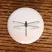 DRAGONFLIES OUTBACK RUST DRAGONFLY DRAWER PULLS KNOBS Image