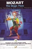 Wolfgang Amadeus Mozart - The Magic Flute [DVD]