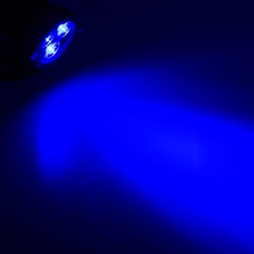 Bloomwin- IP65 Outdoor Landscape LED Lawn Light Blue