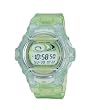 Casio Whale Series Baby-G Watch BG169A-3V Watch