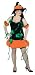 Pumpkin Witch Adult Standard Plus Size Costume