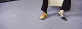 Low Section View of a Woman Wearing a Sandal and a Shoe, Germany Photographic Poster Print by Panoramic Images, 42x14