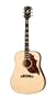 Gibson Firebird Custom Acoustic Guitar, Antique Cherry