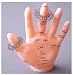 Acupressure Chinese Medicine Ring