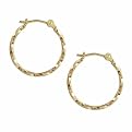 10K Earrings Twisted Hoop