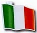 Irish Flag Party String Lights