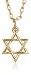 Gold Plated Sculpted Star of David Pendant, 20″