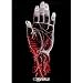 Converge - Posters - Limited Concert Promo