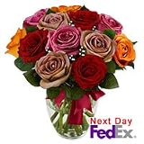 Roses - Technicolor