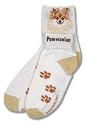 For Bare Feet Pomeranian Roll Down Socks