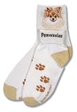 Pomeranian Roll Down Sock