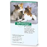 Advantage For Dogs And Puppies Under 10 lbs - 4 month supply