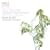 Edward Elgar, Falstaff, Cello Concerto, Smoking Cantata