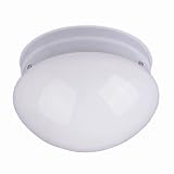1-Light Flush Mount - 7.5x4.5