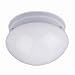 1-Light Flush Mount - 7.5x4.5