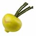 Green Kohlrabi
