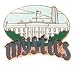 Washington Mystics WNBA City Pin