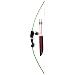 Sporting Goods : Bear Archery Golden Comanche Youth Bow Set