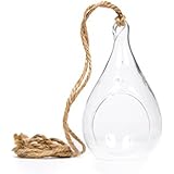 Hinterland Trading Hanging Glass Teardrop Globe Terrarium for Decoration