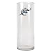 Washington Wizards NBA 9 Flower Vase - Primary Logo