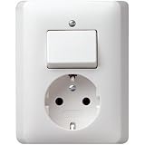 Gira 017604 Wippschalter/Steckdose volle Platte Reinwei&szlig; seidenmatt