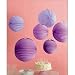 Martha Stewart Crafts Lanterns, Purple Accordion