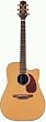 Takamine TAN15C Dreadnought Cutaway Acoustic-Electric Guitar