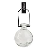 Single Hanging Clear Glass Bottle Vase with Wall Hook