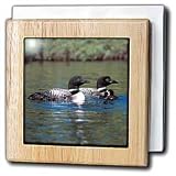 Review 3dRose LLC  / Family of Three Loons - 6 Inch Tile Napkin Holder
