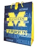University of Michigan 