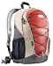 Sports : Deuter Gogo Rucksack, Aktivrucksack, Sportrucksack Farbe: lava-beige
