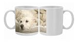 Dog - resting on sofa Photo Mugs