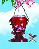 Birdscapes® 702 Blossom Edition Feeder, 24 oz capacity