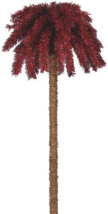 Buy Ball State Cardinals 4' Team Colored Palm Tree by Team Trees