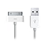 Apple MA591G Cable Data et charge USB Origine Apple