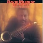 Click here to buy Love and Sorrow by  David Murray .