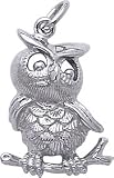 Owl Charm by Rembrandt Charms