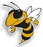 Georgia Tech Yellow Jackets 12 Car Magnet - COLLEGE ATHLETICS Sports Merchandise
