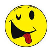 WINKING HAPPY FACE Glitter Temporary Tattoo 2x2