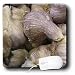 Florene Food and Beverage - Fresh Garlic - Mouse Pads