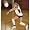 Tandem Sports Volleyball Pass Rite