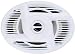 APSW692 300 WATT 6X 9 2-WAY MARINE SPEAKERS